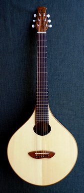 cittern steel